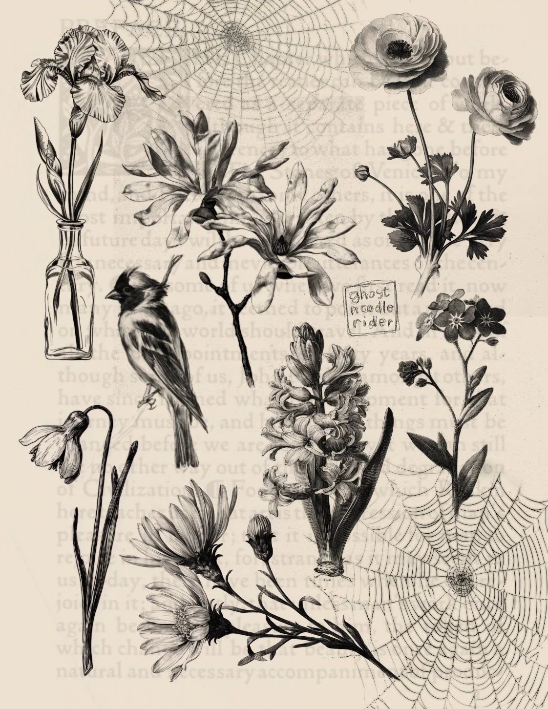 Sheet 209