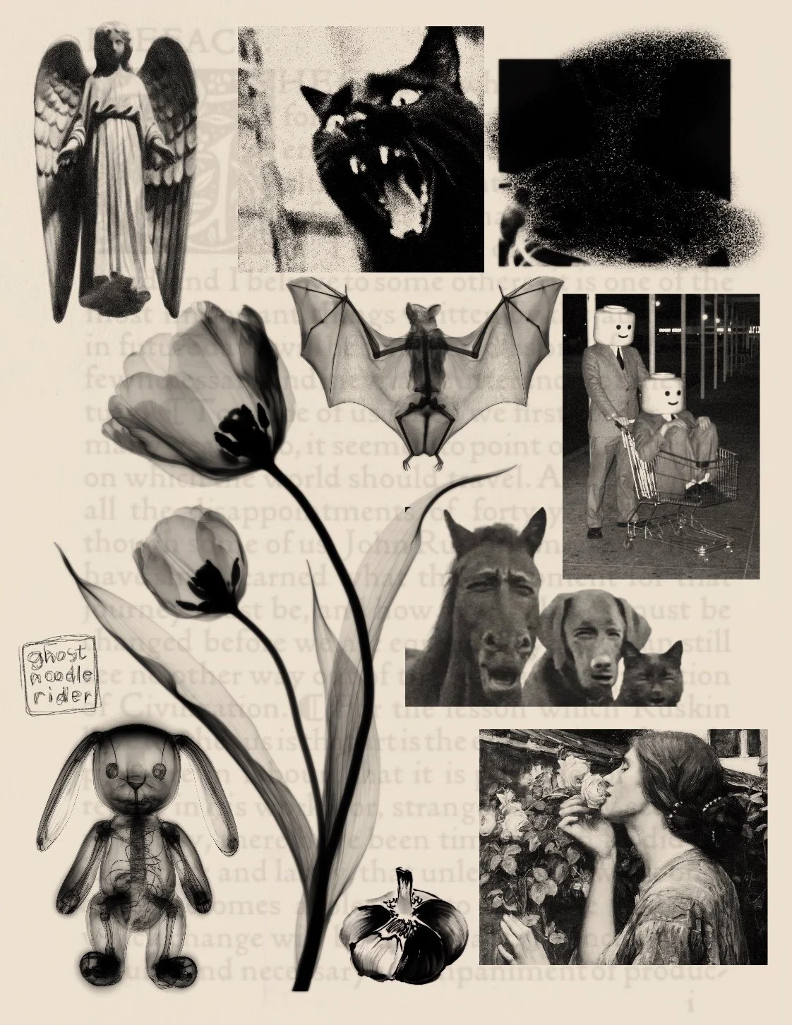 Sheet 206