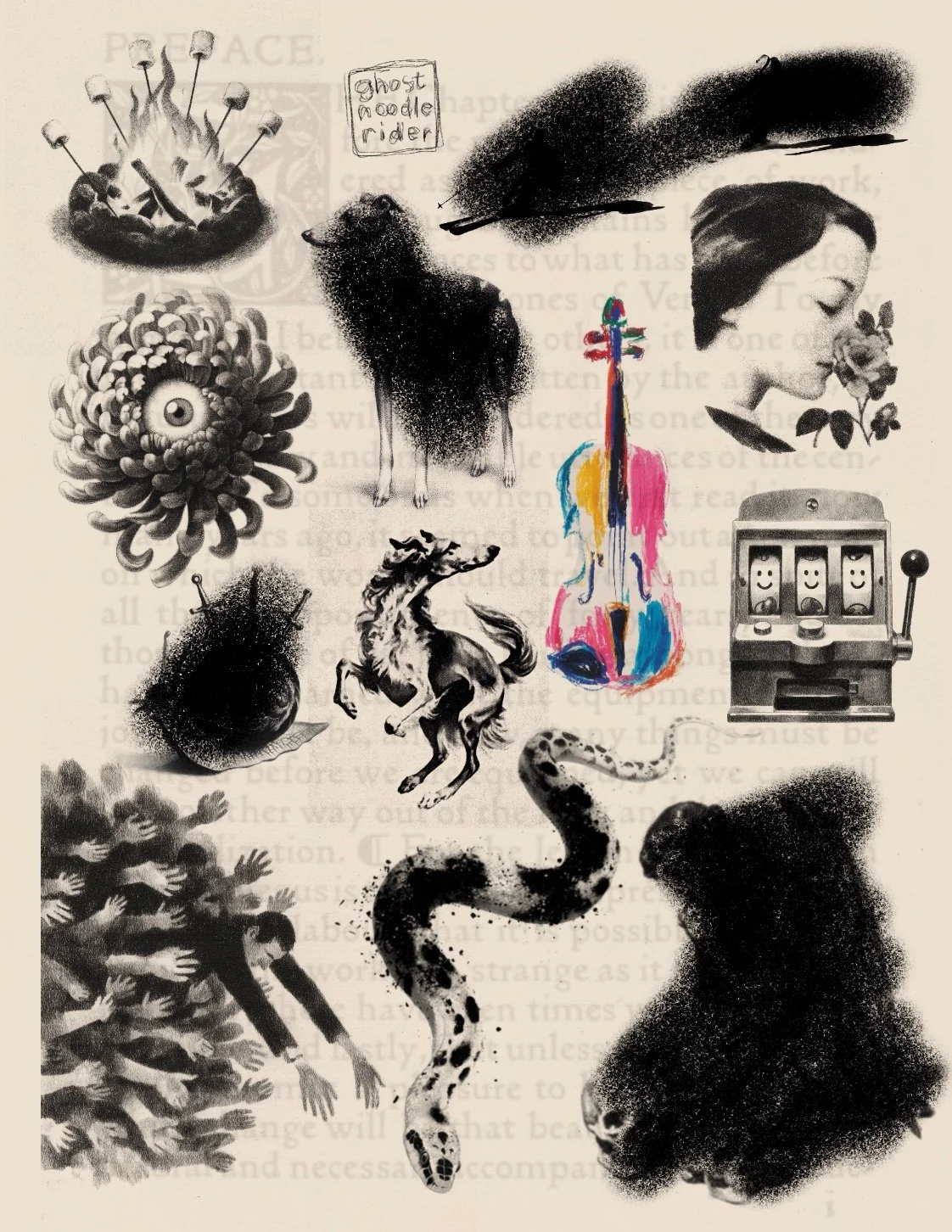 Sheet 204