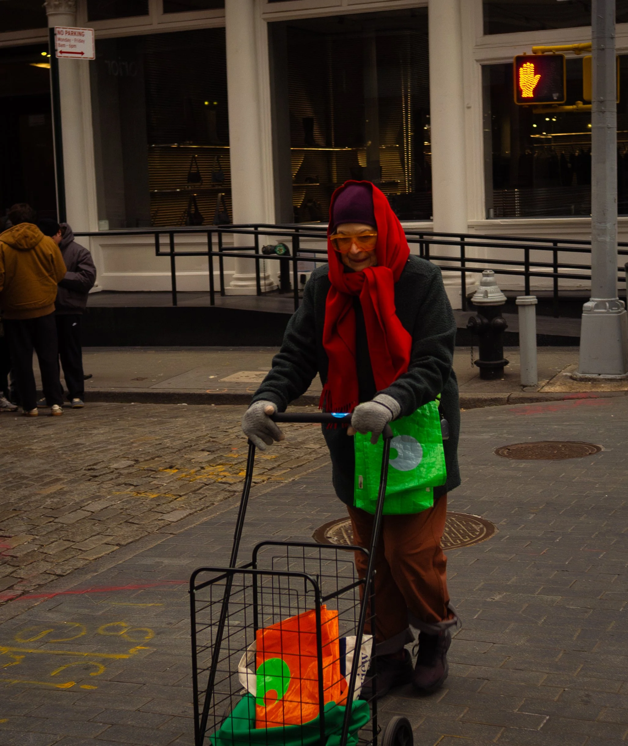 An elderly woman in a red scarf, yellow glasses, and a dark coat pushes a shopping cart on a city sidewalk, with a traffic light showing a red hand in the background.