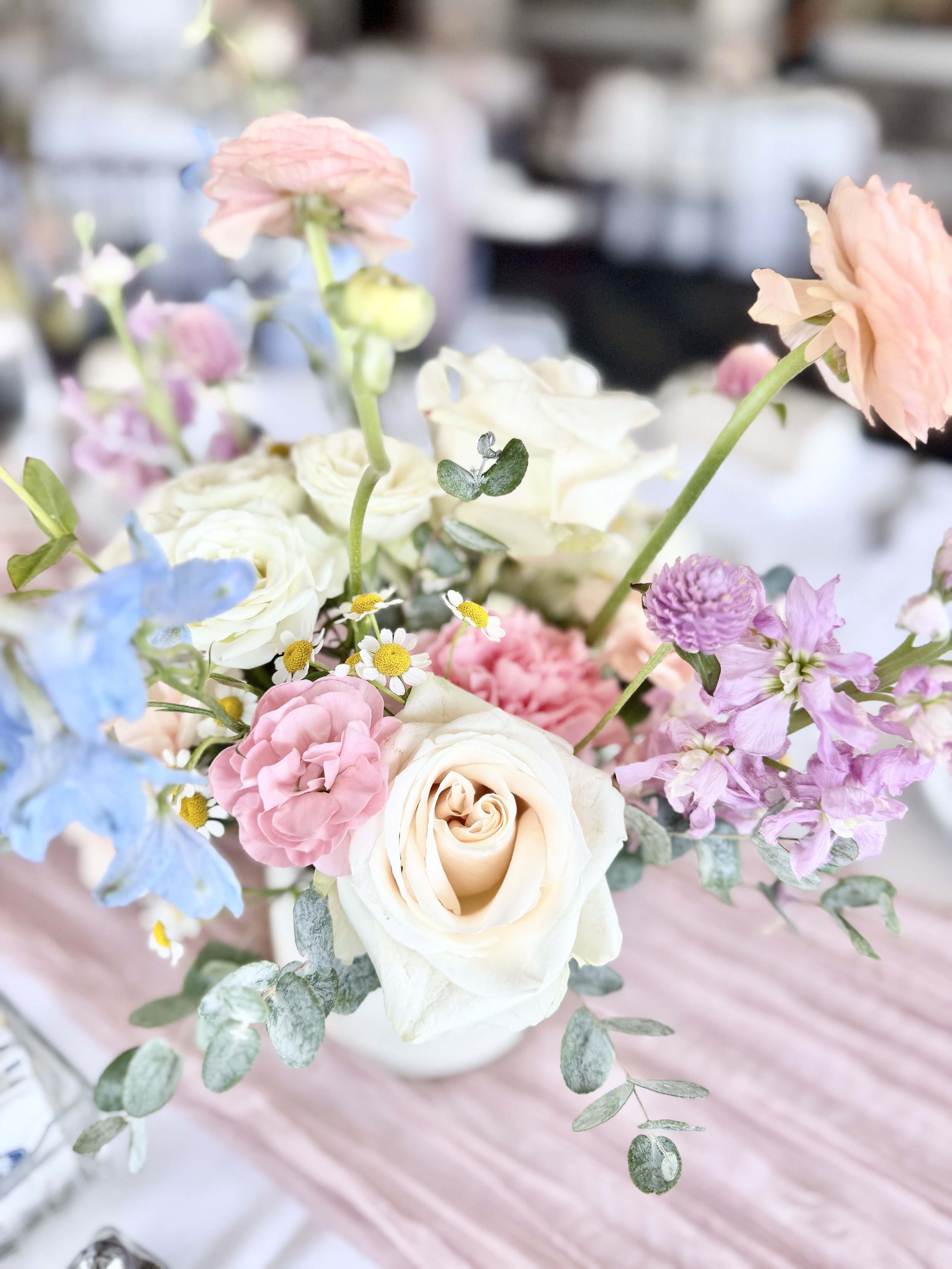IMG_8128.png