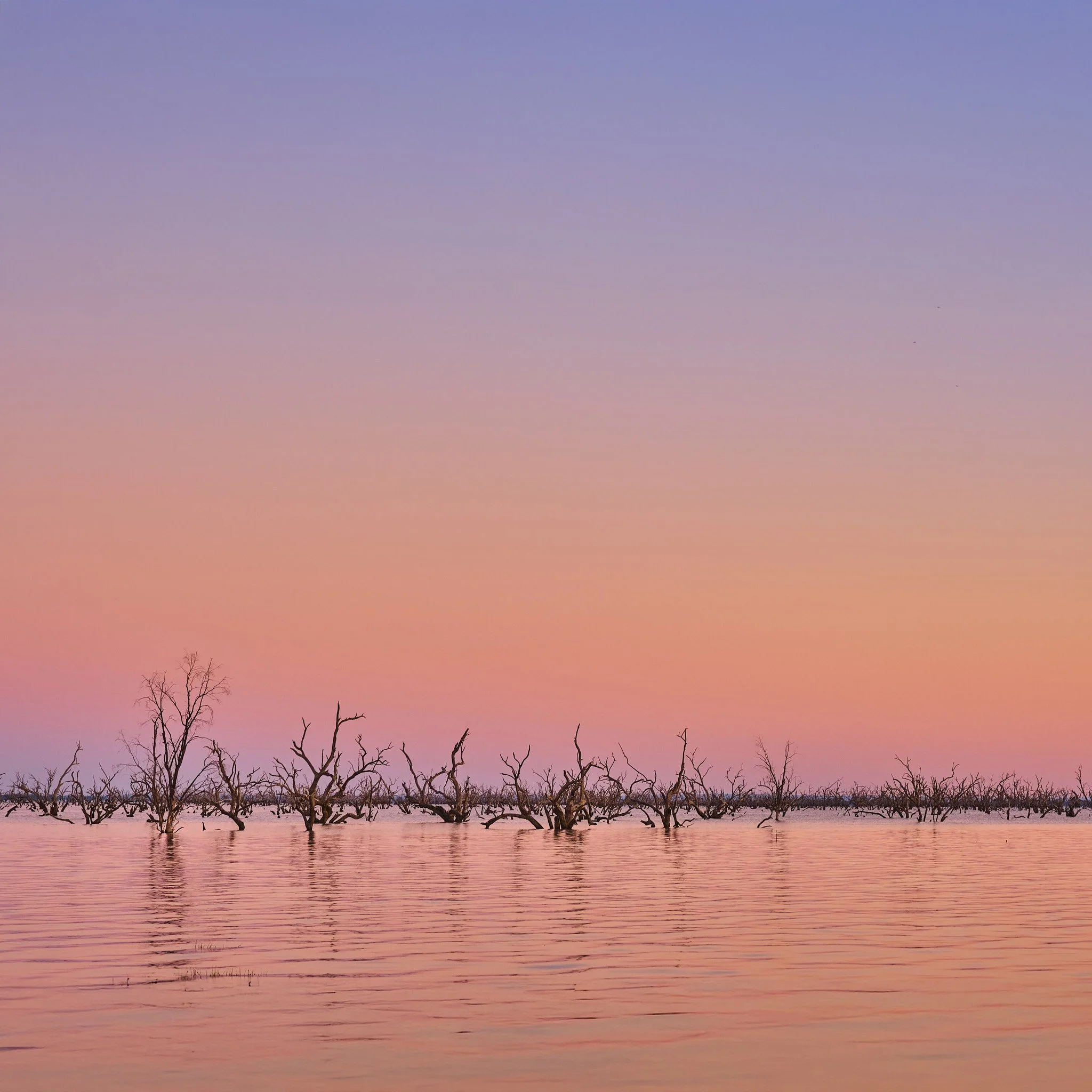Menindee_Fineart_Square_2 2.jpg