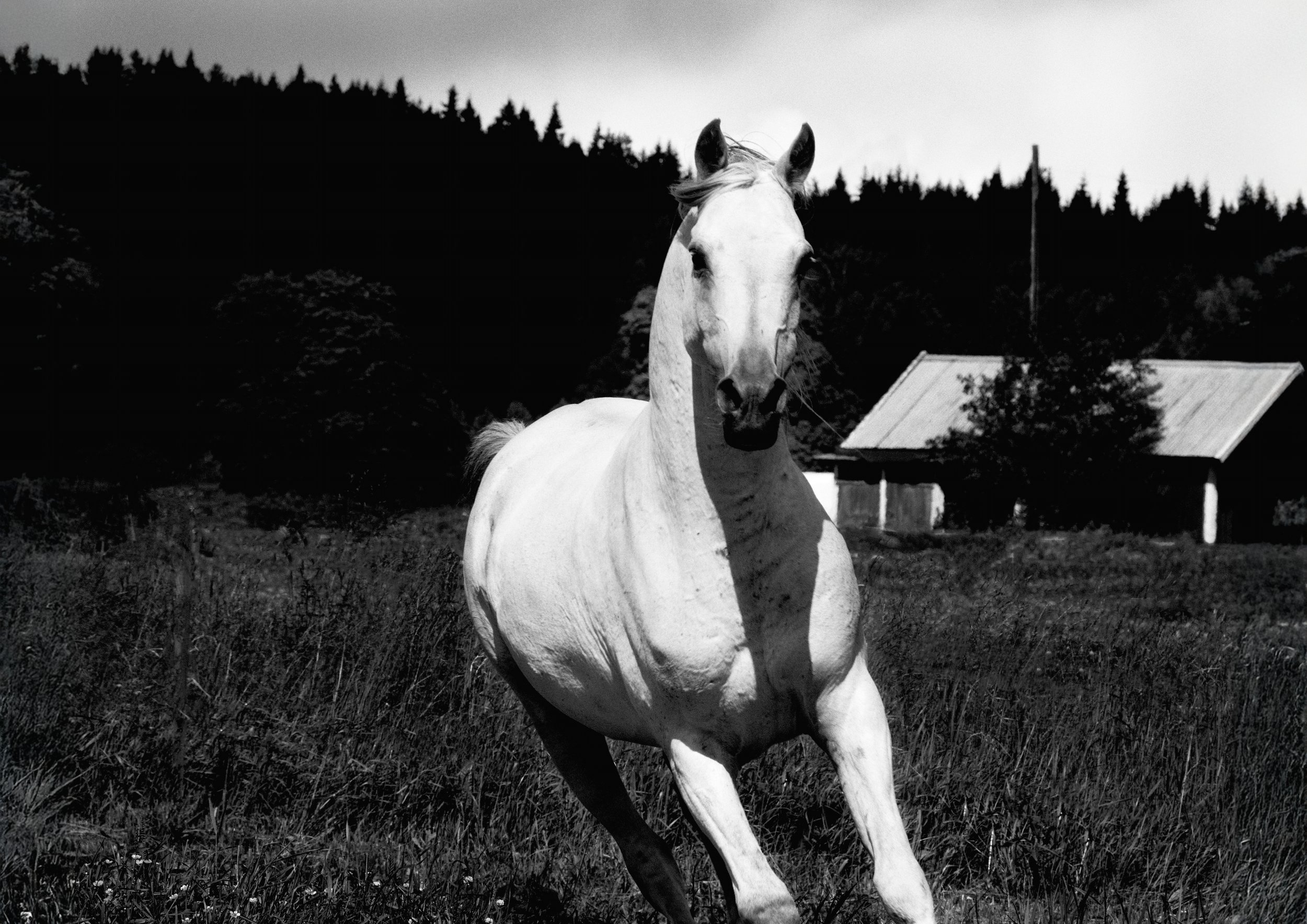 Comet Series_A4_1.jpg