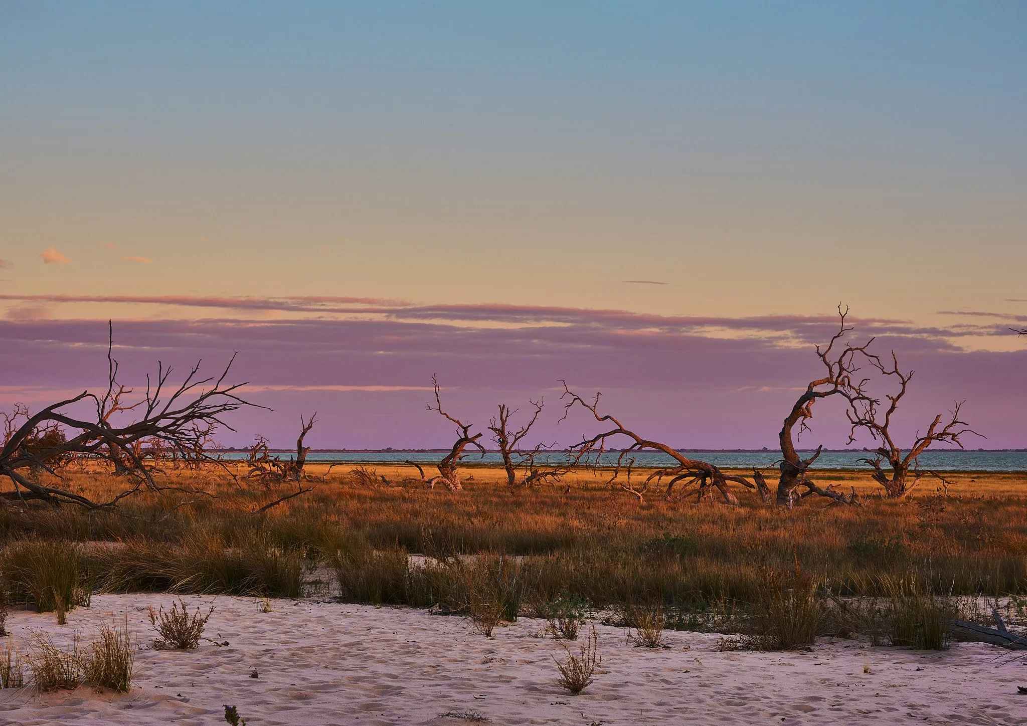 MENINDEE LAKES SET OF 4 A2  $850 framed wood under perspex or $250 each