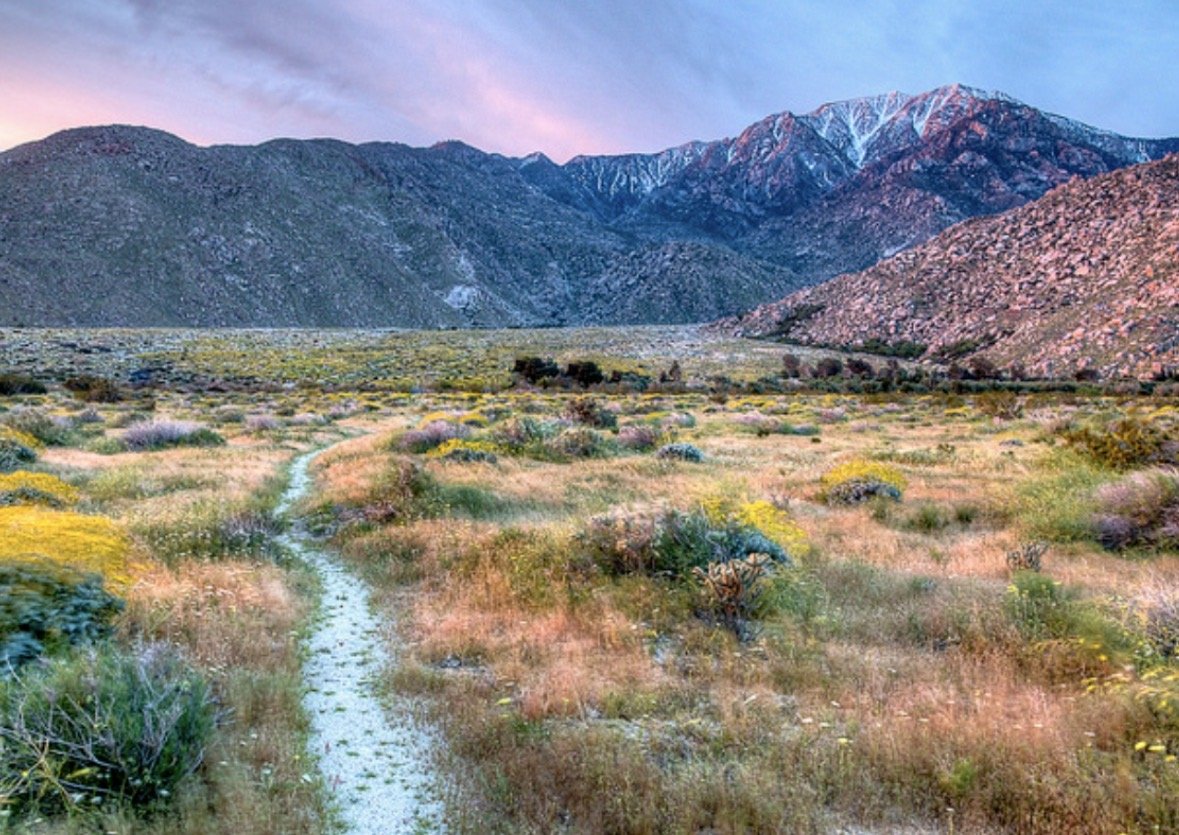 The Local Landscape | The Fault Isn’t in the Stars. It’s Under our Feet