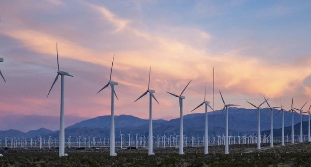 The Local Questions, Vol. 1 | Field Notes From Palm Springs