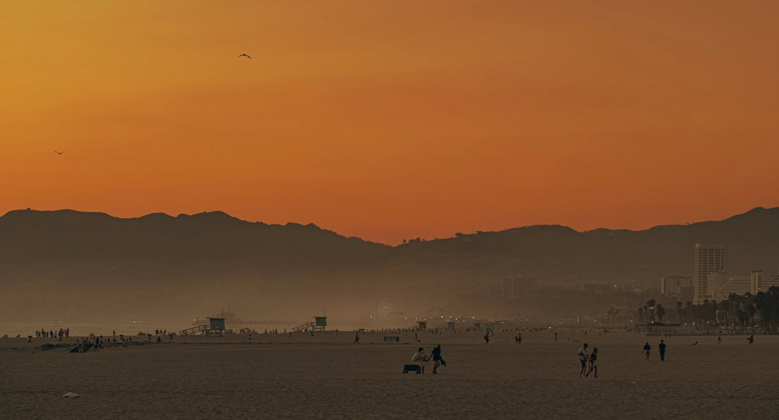 Santa Monica beach  for Website.jpg
