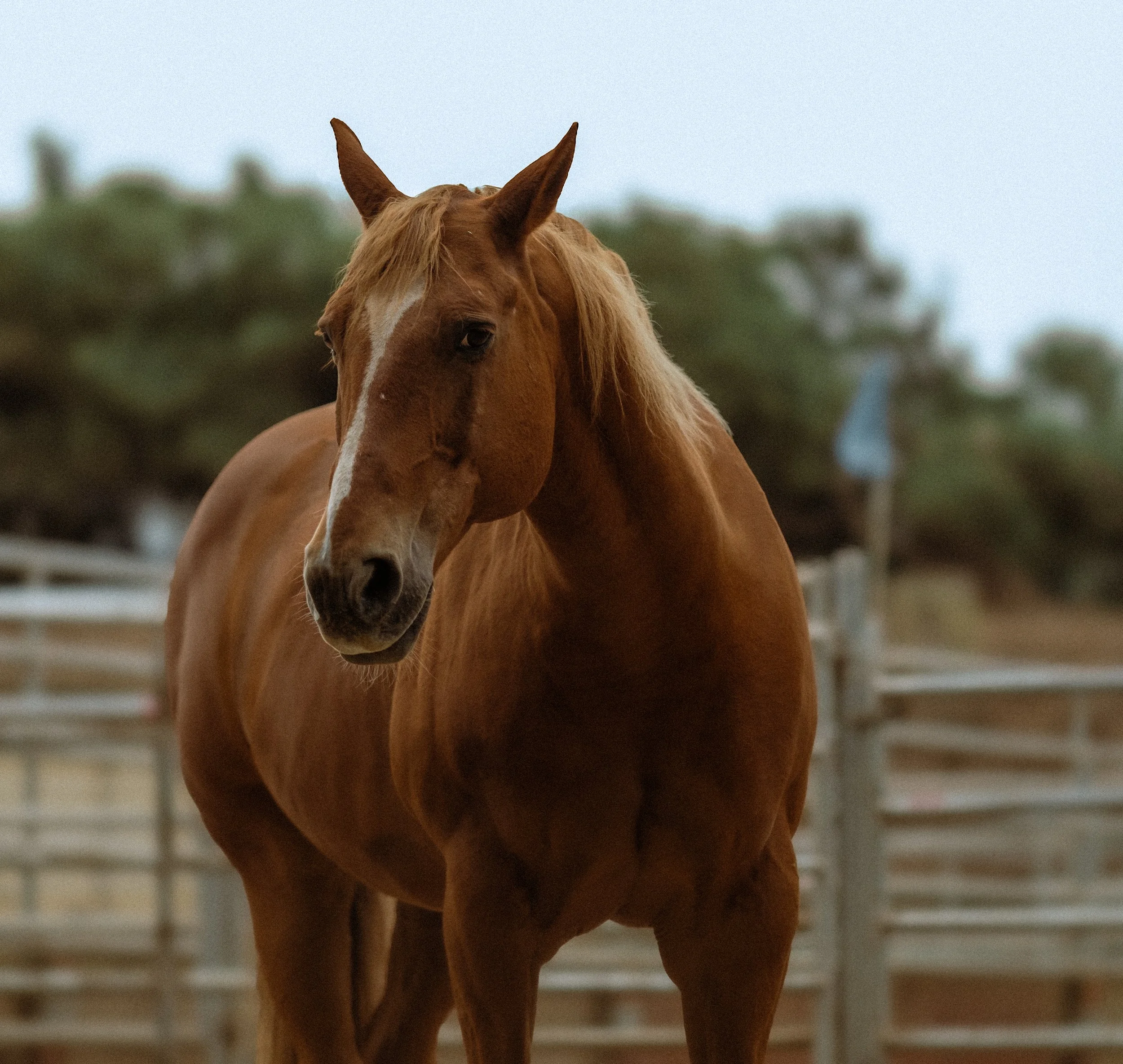 GSB for Website-2.jpg