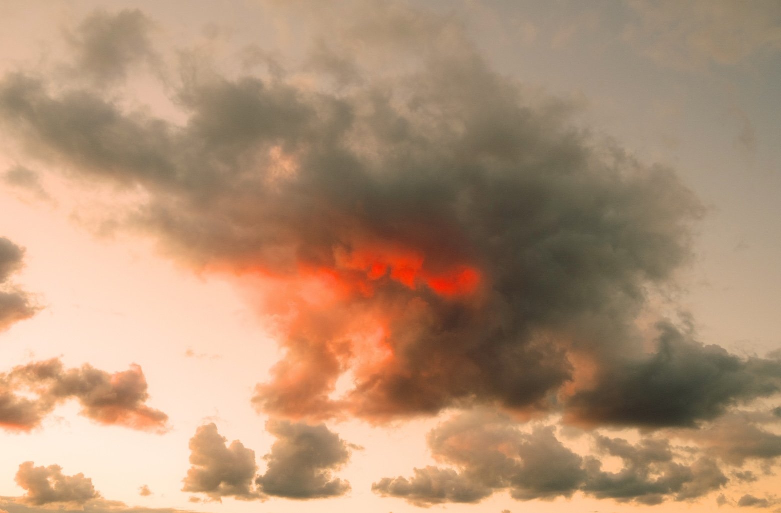 THE ART OF DIMOSHOT.jpg