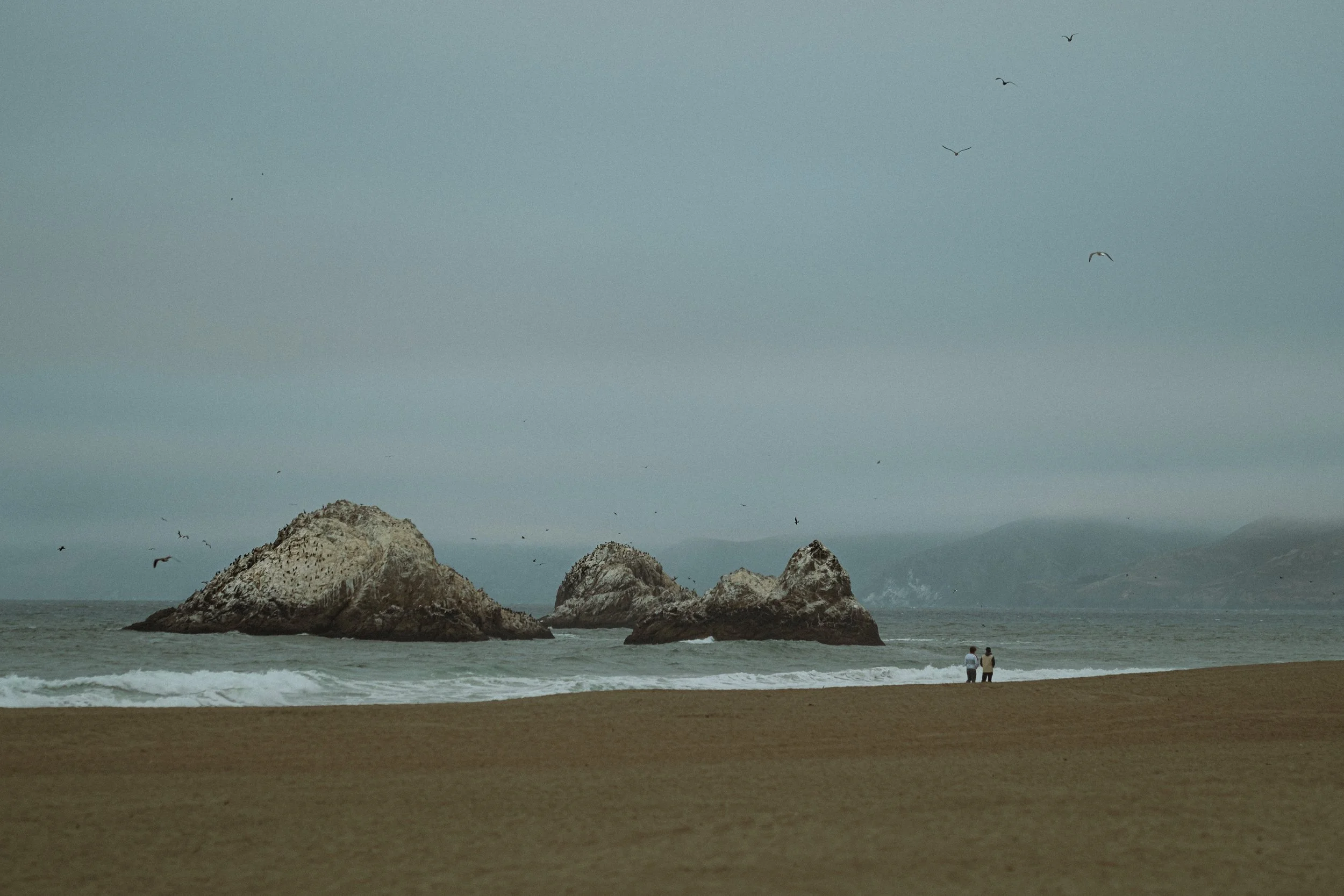 SAN FRANSICO BEACH 2.jpg