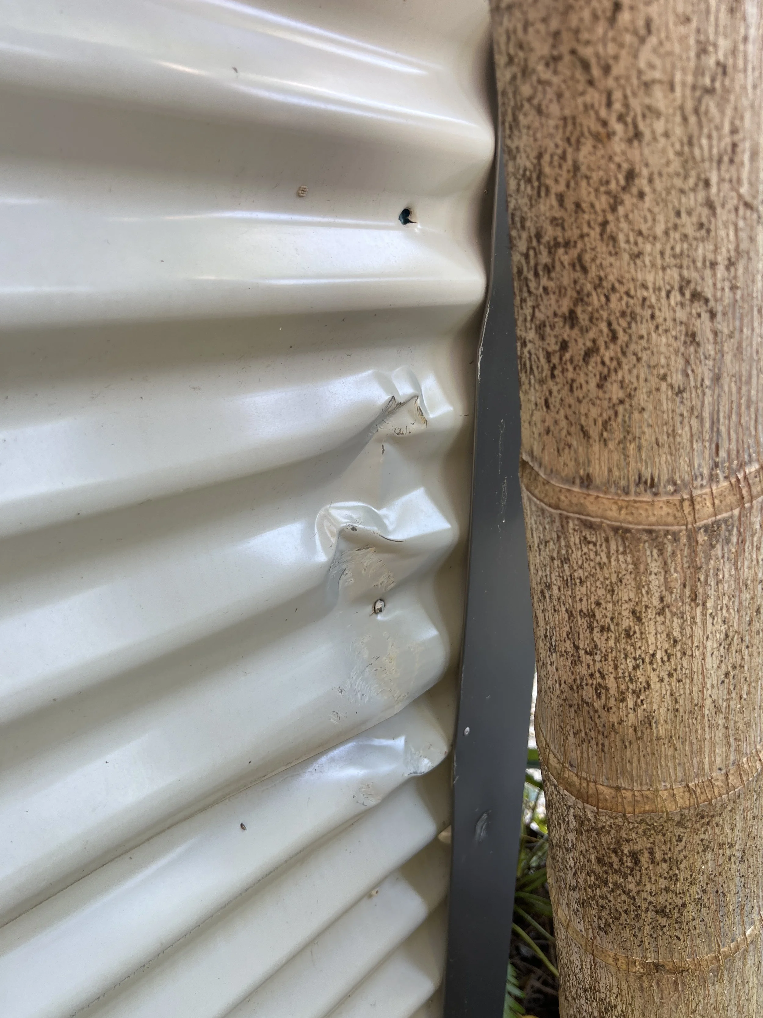 Coffs Harbour Building Inspection reveals hidden moisture behind damaged cladding