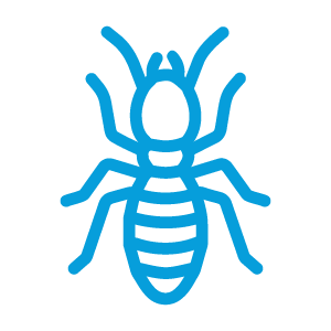 A blue line drawing of a tick insect on a black background.