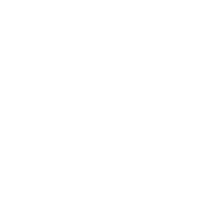 Shield icon with a checkmark inside