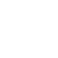 A crosshair or target reticle