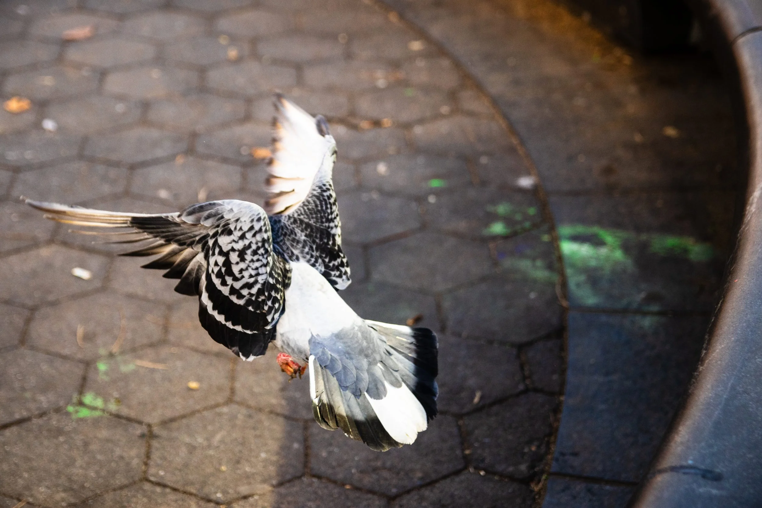 New York Day Six-61.jpg