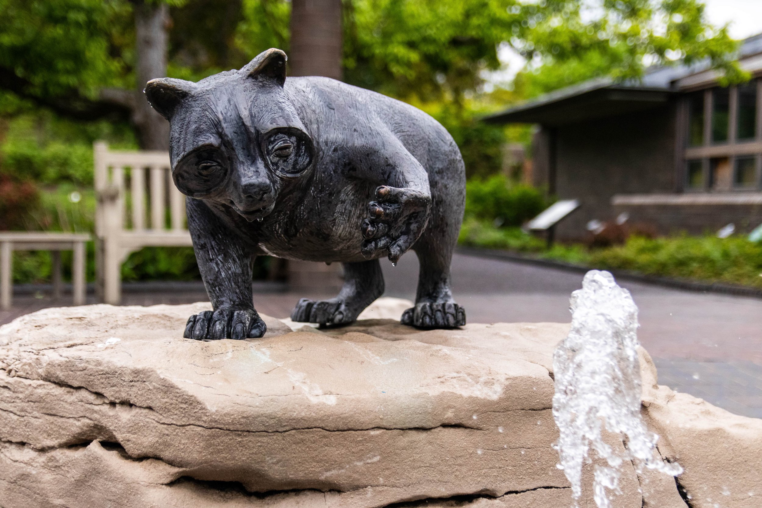 Botanical Garden May 3rd-05-min.jpg