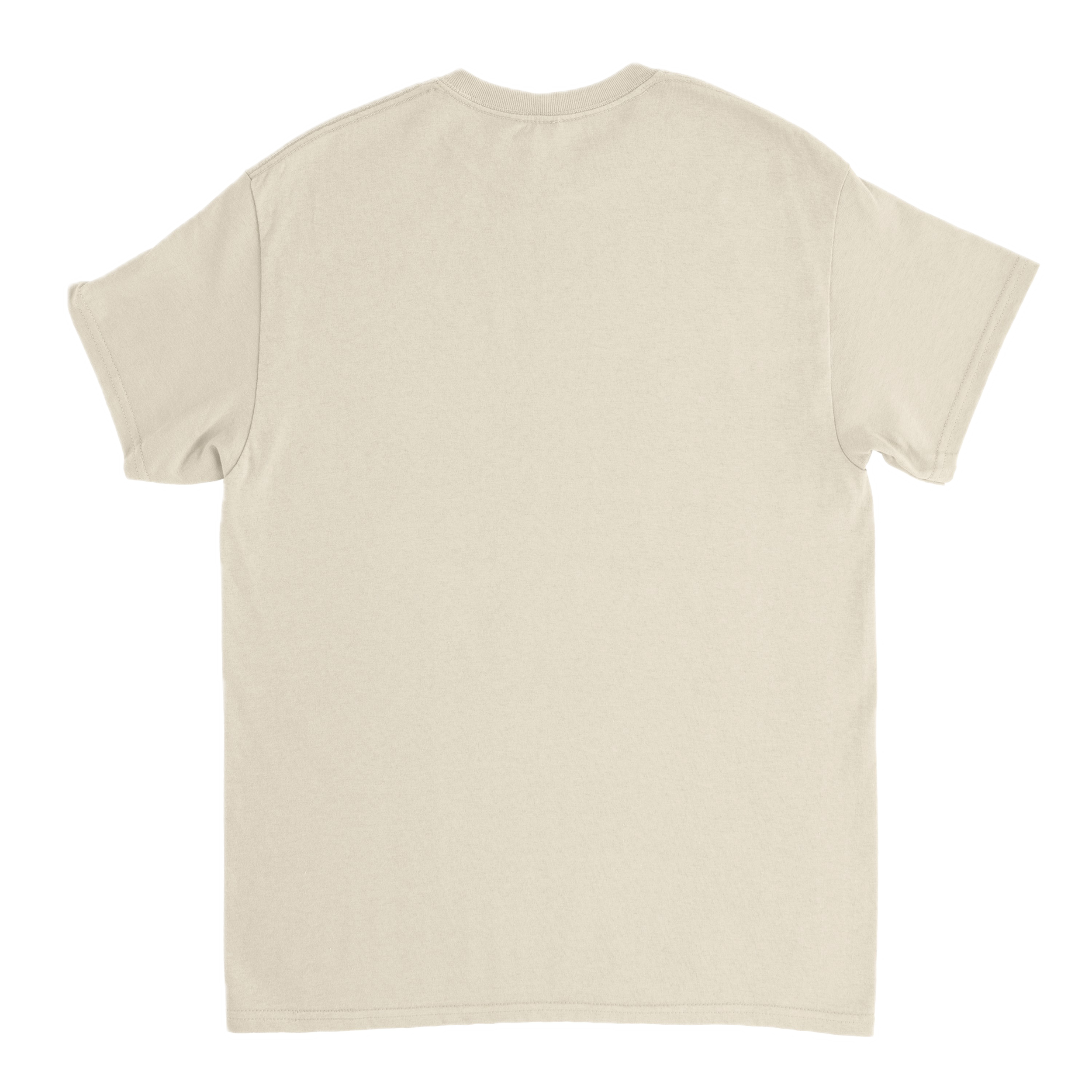 editor_back Background Removed.png