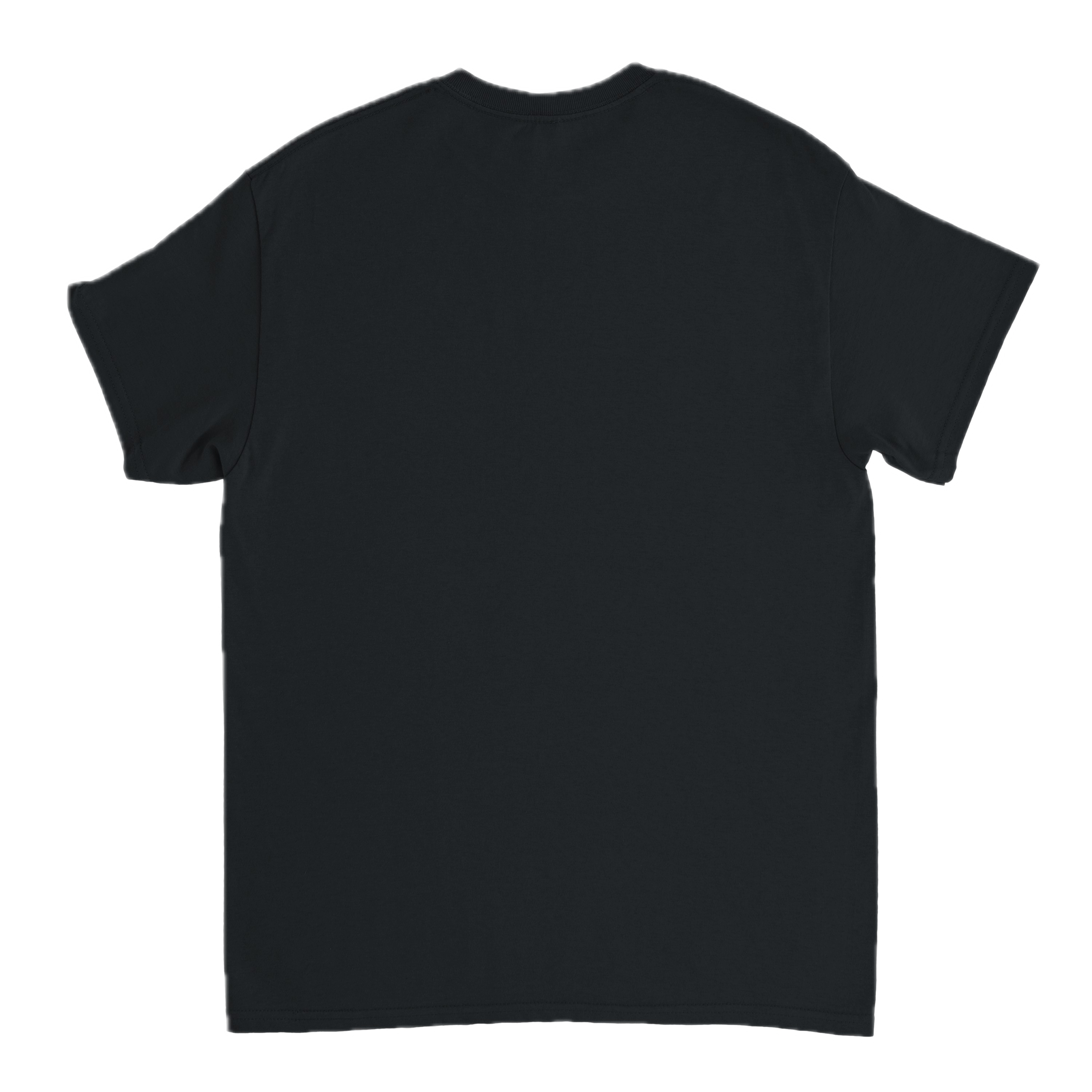 editor_back Background Removed.png