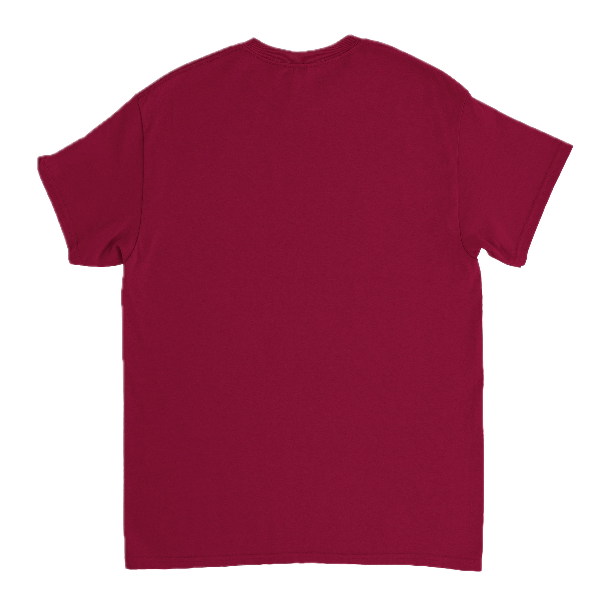 editor_back Background Removed.png