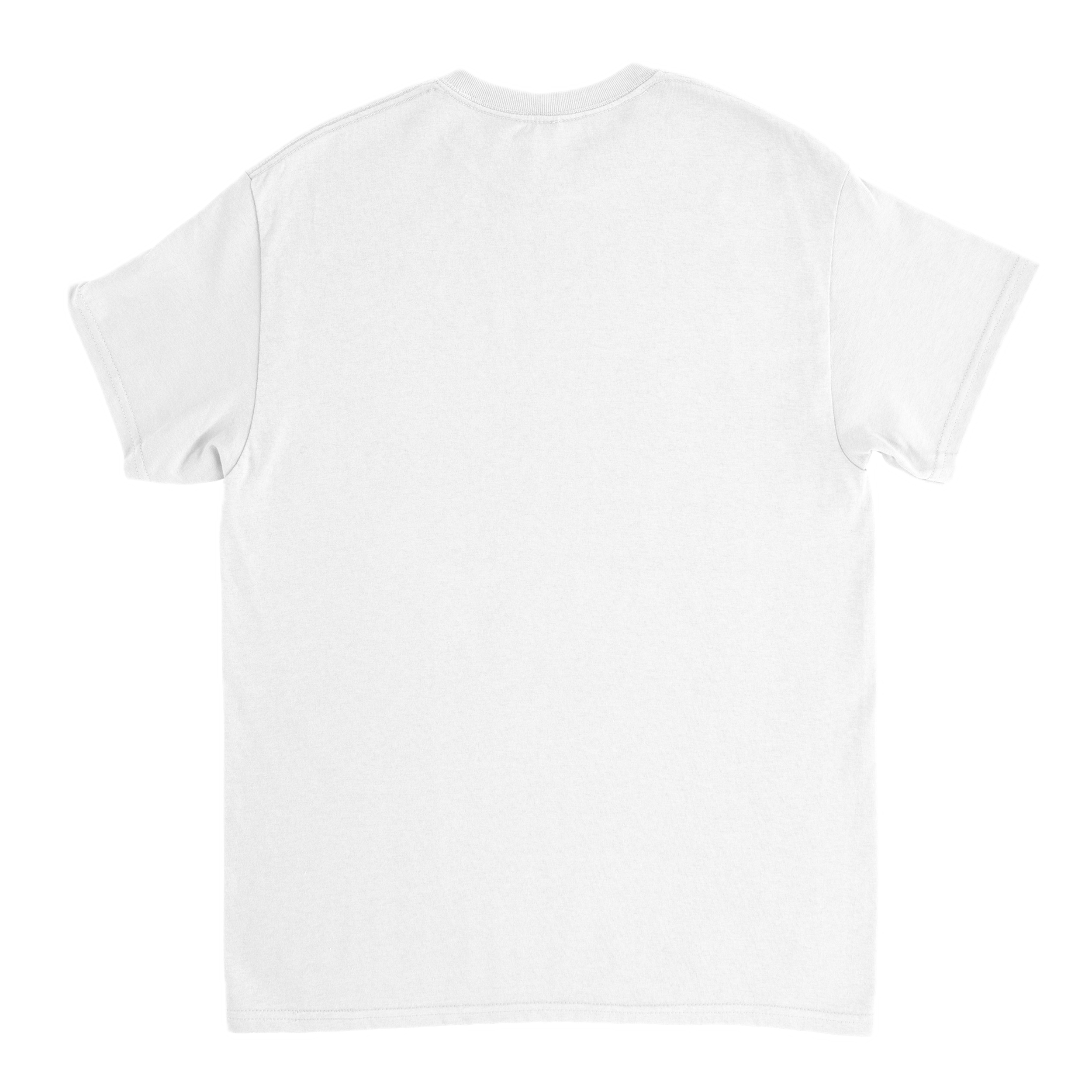 editor_back 2 Background Removed.png