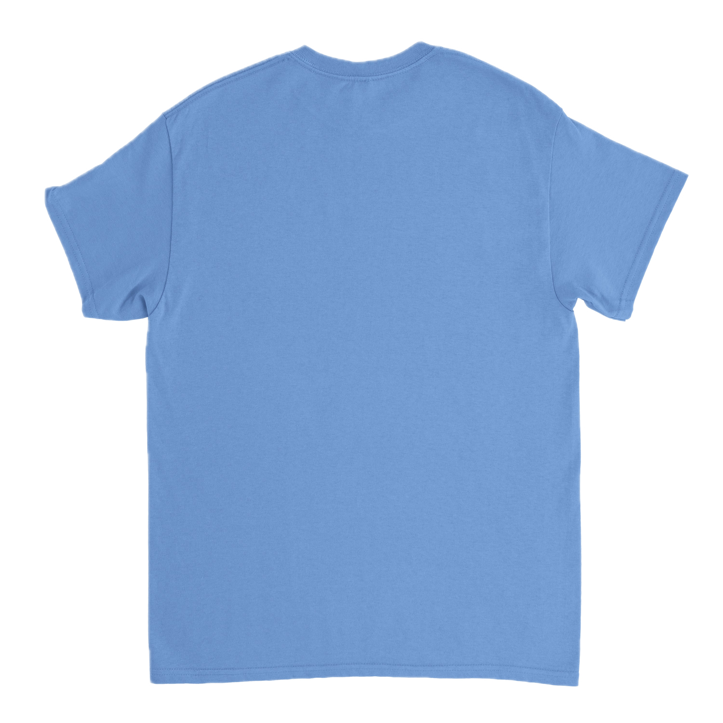 editor_back Background Removed.png