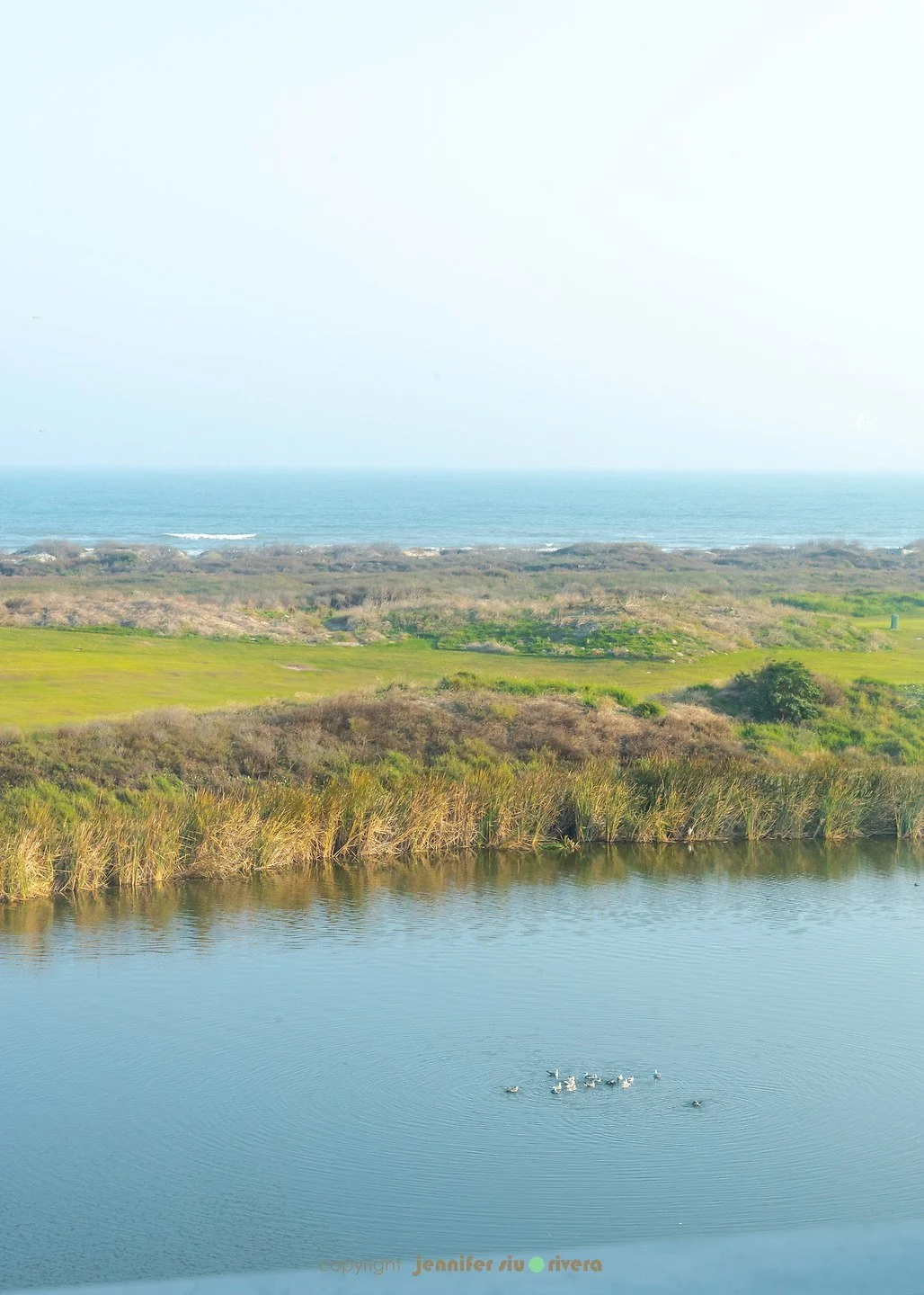 download - 2026-01-29T172451.555.jpeg