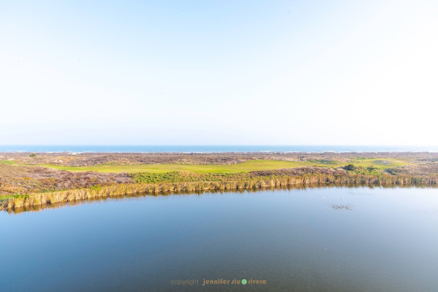 download - 2026-01-29T172456.156.jpeg