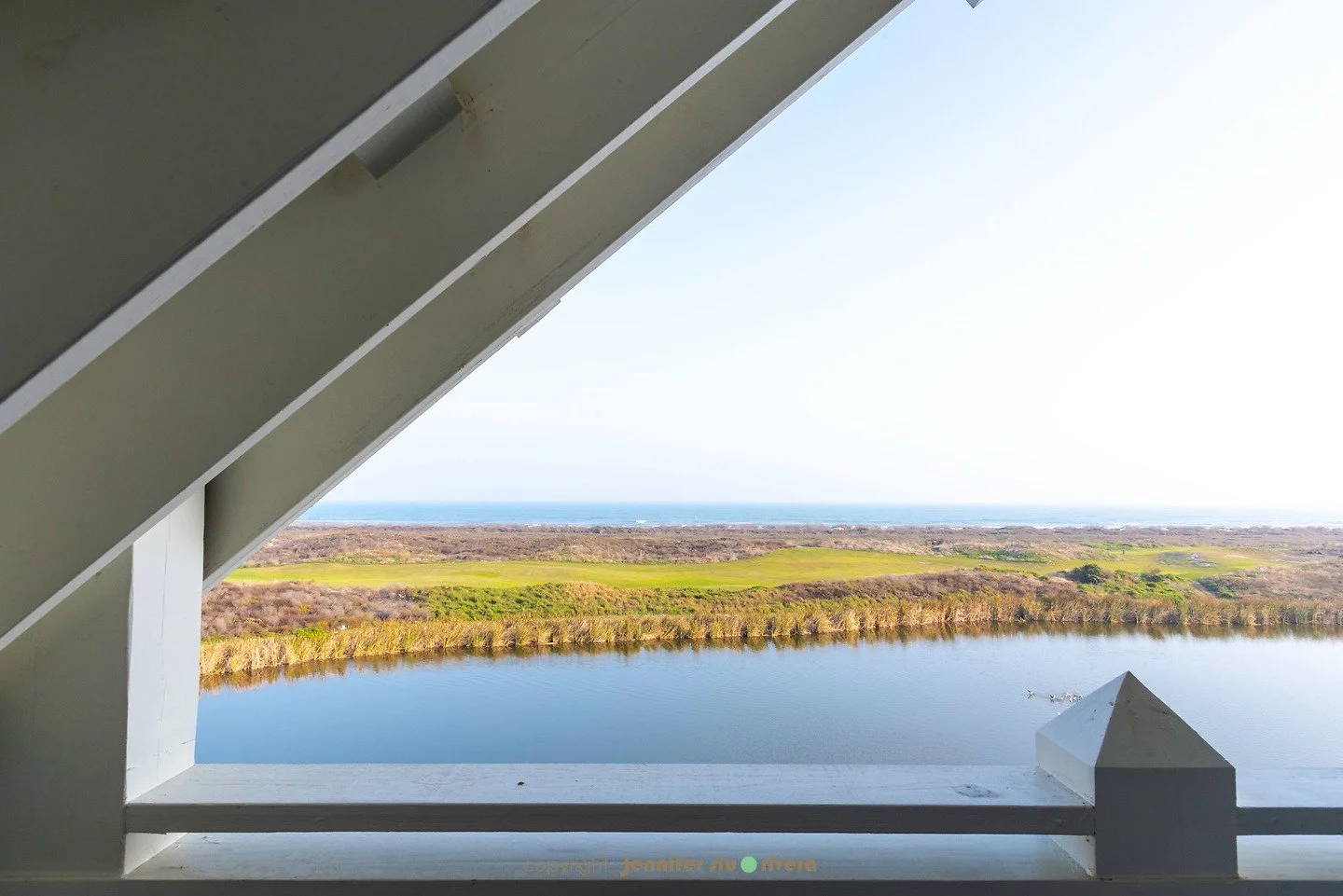 download - 2026-01-29T172456.797.jpeg