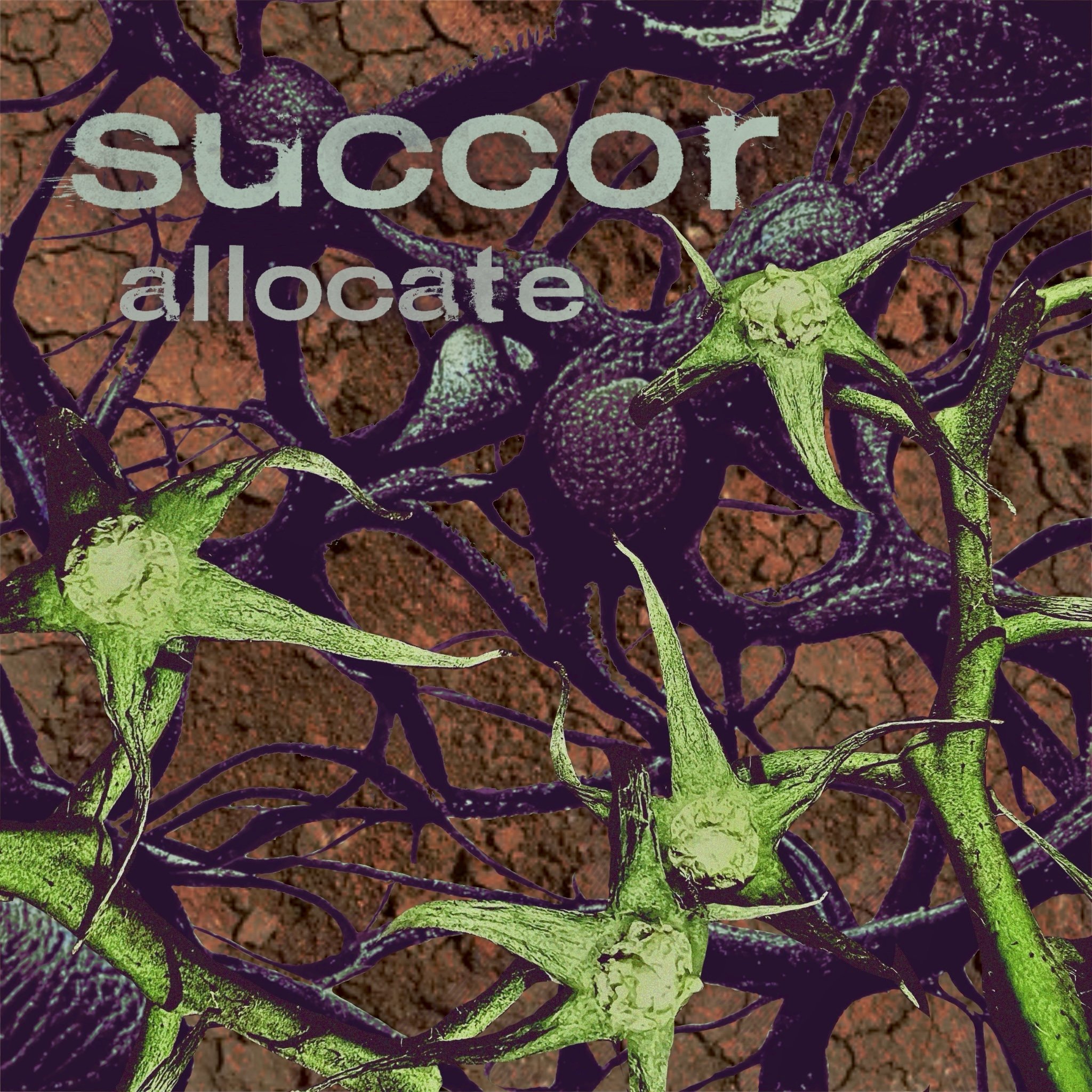 Allocate - Digital Track Download