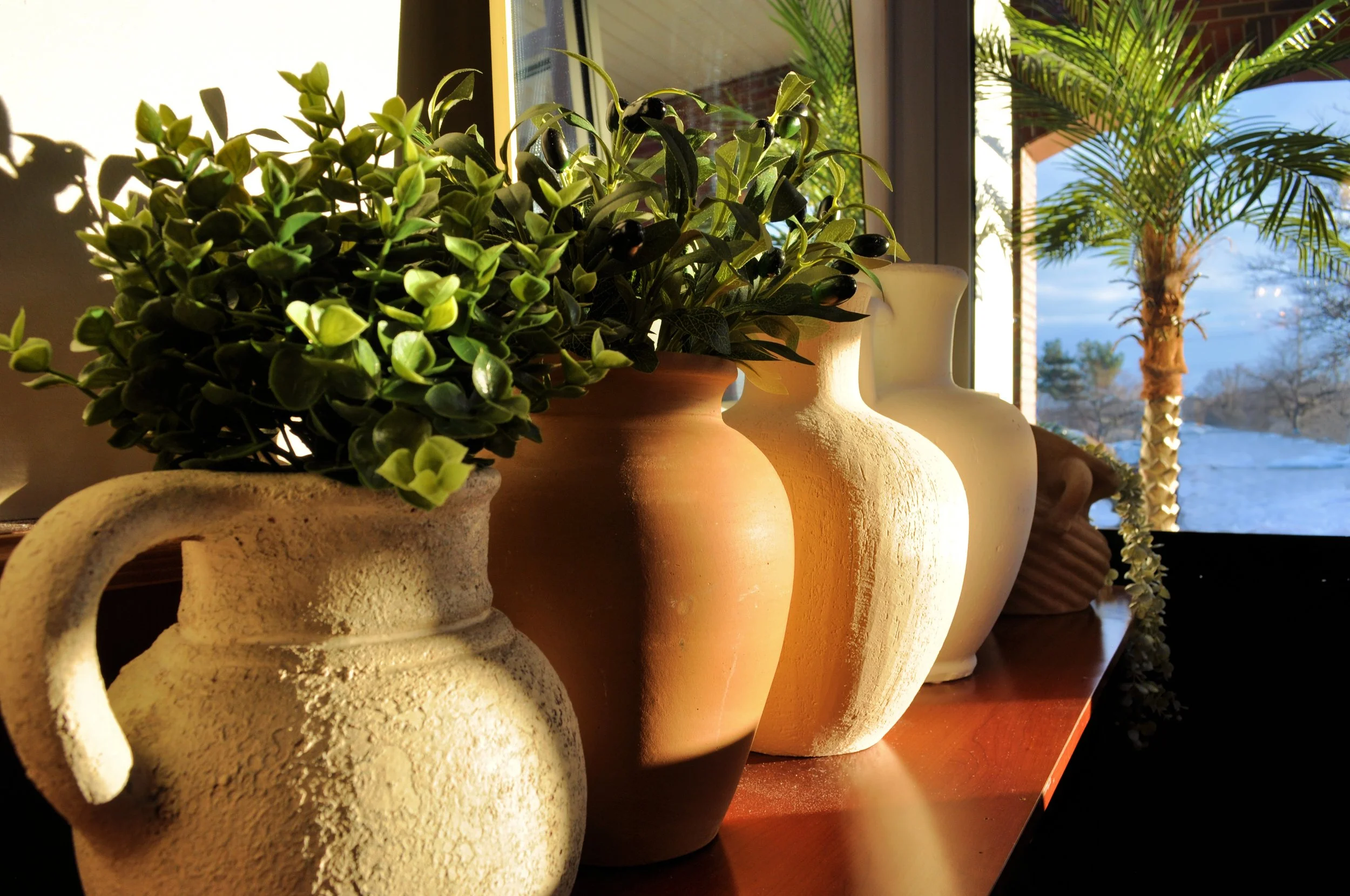 Decorative ceramic vases with green plants on a wooden surface near a window with a view of a palm tree outside.