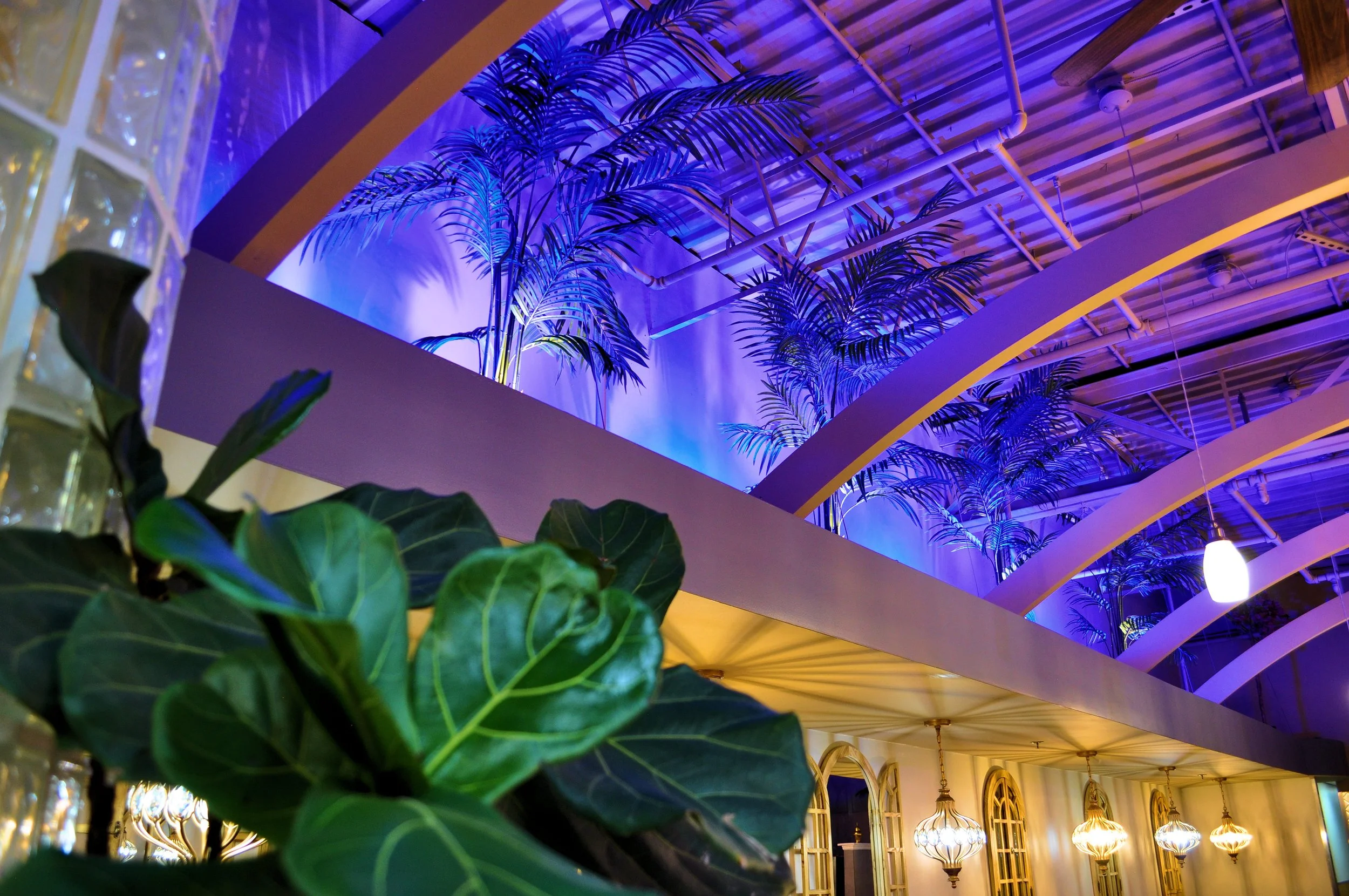 Indoor space with an arched ceiling and wooden beams illuminated by purple and yellow lighting. Green plants with large leaves are in the foreground, and there's a balcony area with potted plants and hanging light fixtures visible below.