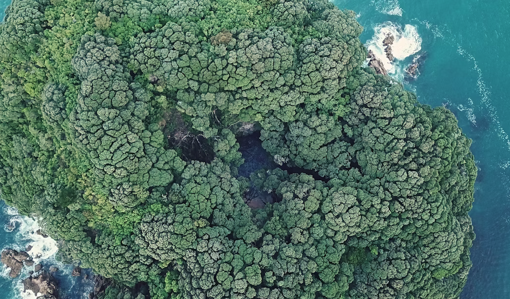 Birds eye view of Whenuakura (donut island)