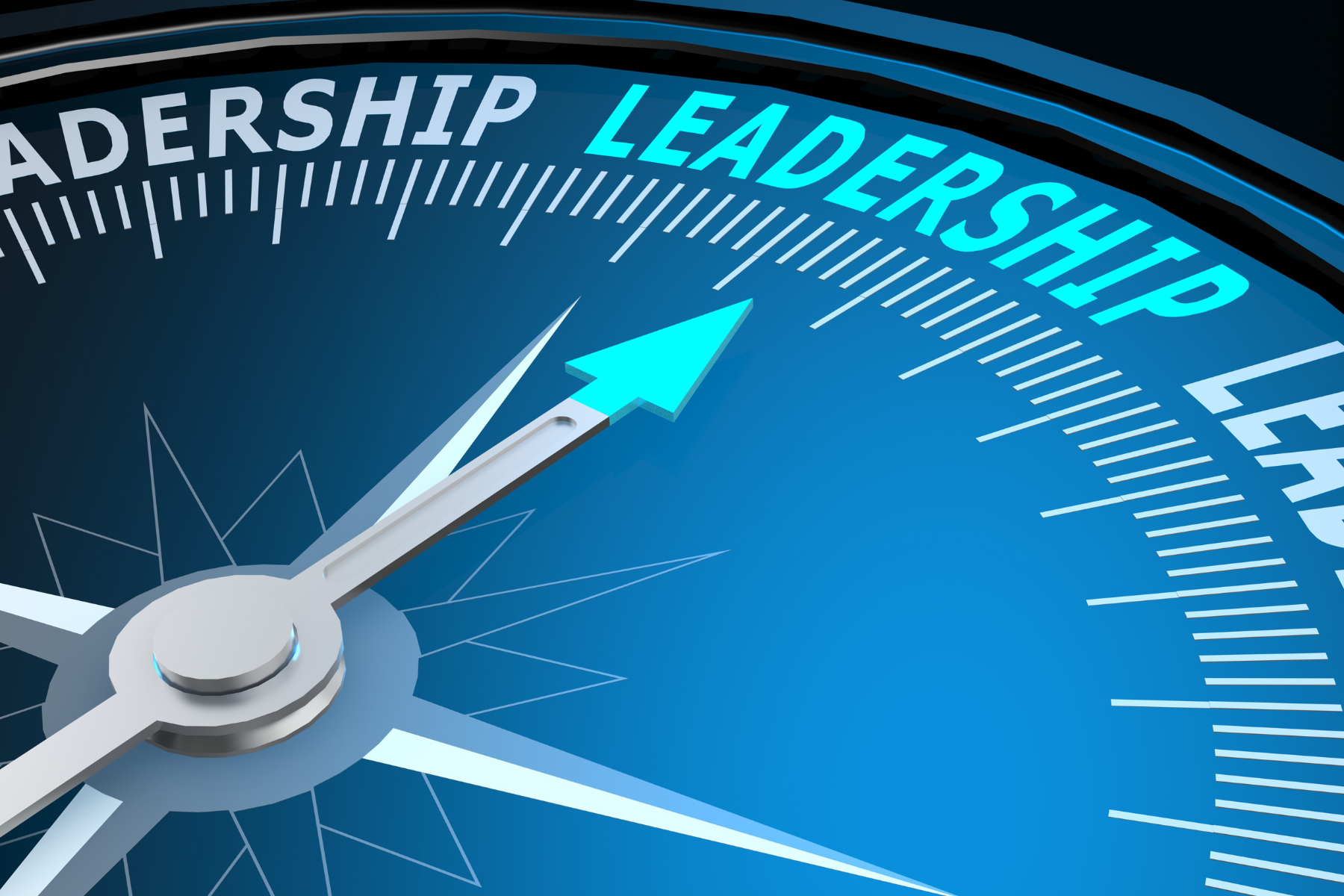 Clarity — Your Leadership Compass