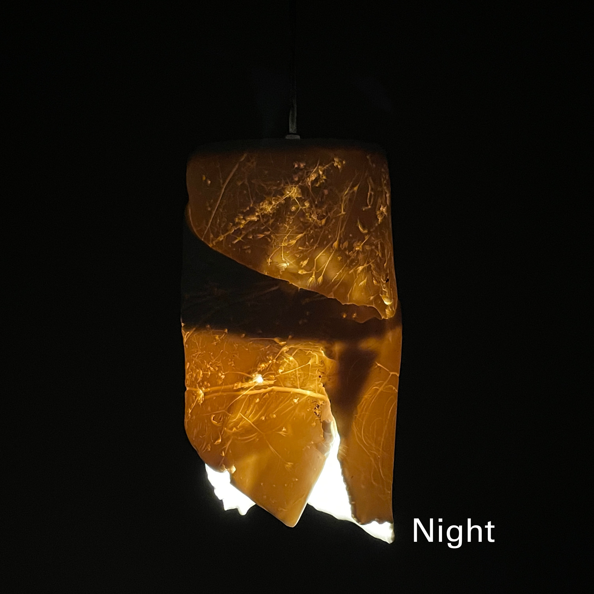 Weed Field Night 2048 x 2048 website (1).png