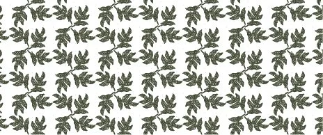 Coffee Plant Pattern (Small)