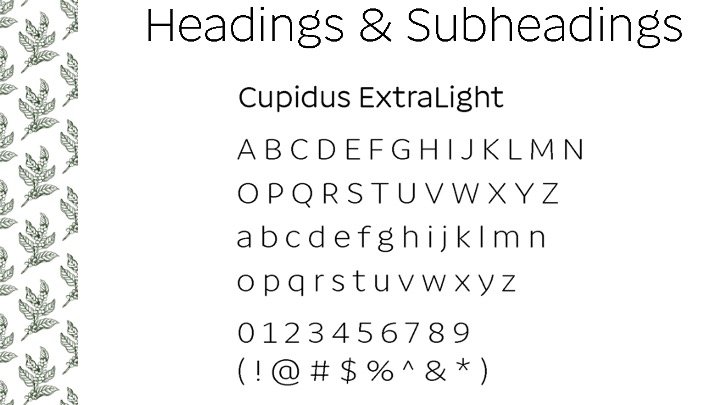 Slide14.jpeg