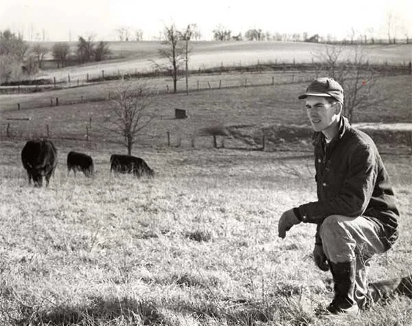 A young man in a jacket and cap crouching on a grassy field with three cows grazing in the background, in a rural landscape.