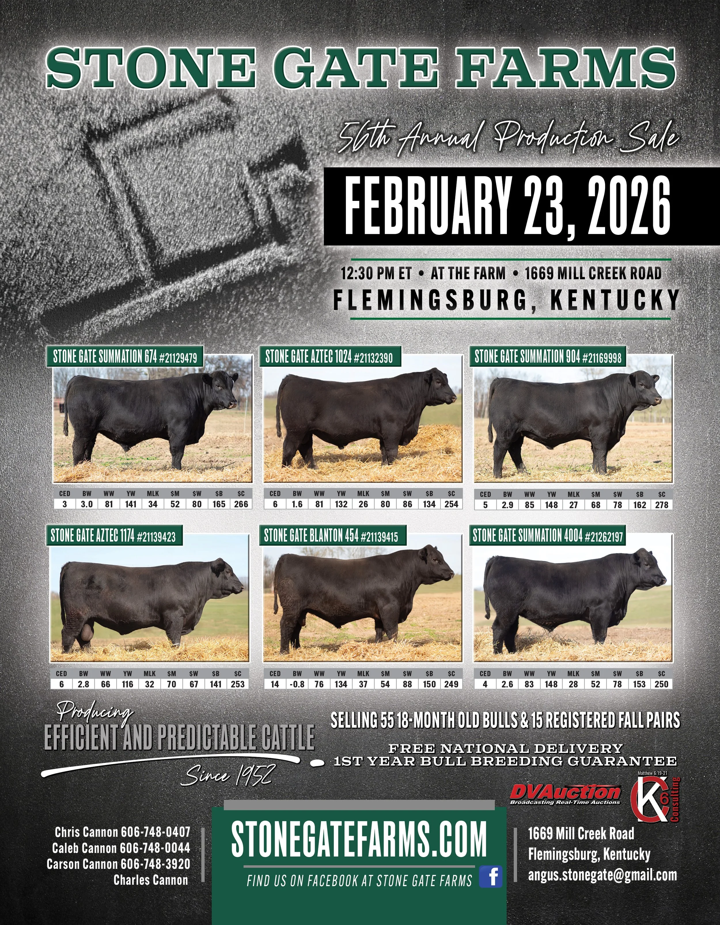 Farm advertisement poster for Stone Gate Farms' 56th Annual Production Sale, scheduled for February 23, 2026, in Flemingsburg, Kentucky. The poster features images of six black Angus bulls with detailed genetic and performance data, and includes contact and online information.