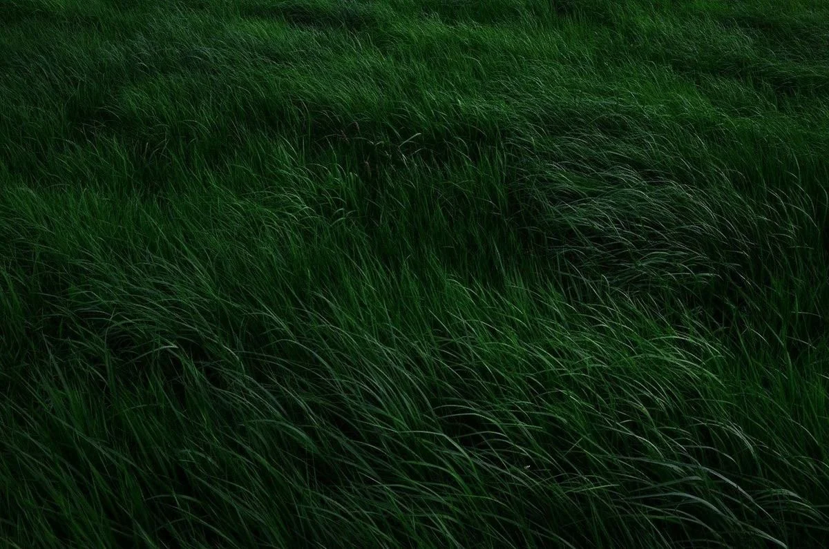 A Gentle Reminder for the New Year: It’s Still Winter