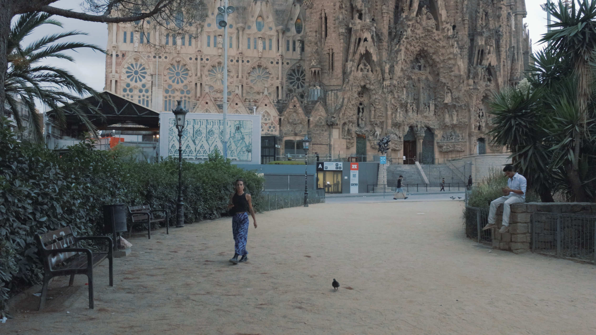 Scene 3_01_00_42_08.png