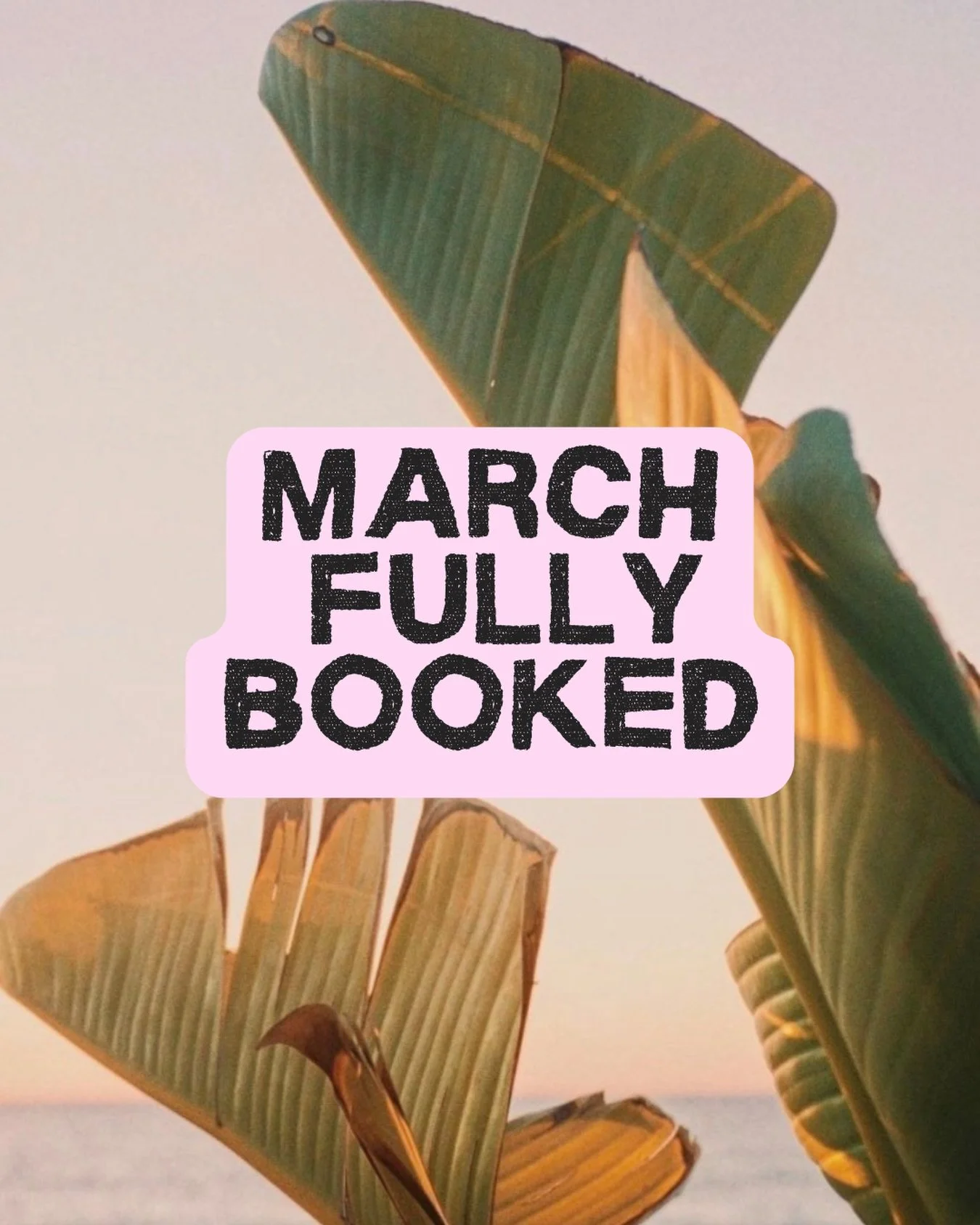 Officially booked for March and now accepting bookings for April (and onwards). So excited for some very fun shoots coming up! A few very different to what I&rsquo;ve shot before, so keep an eye out - I&rsquo;ll try to take you behind the scenes as m