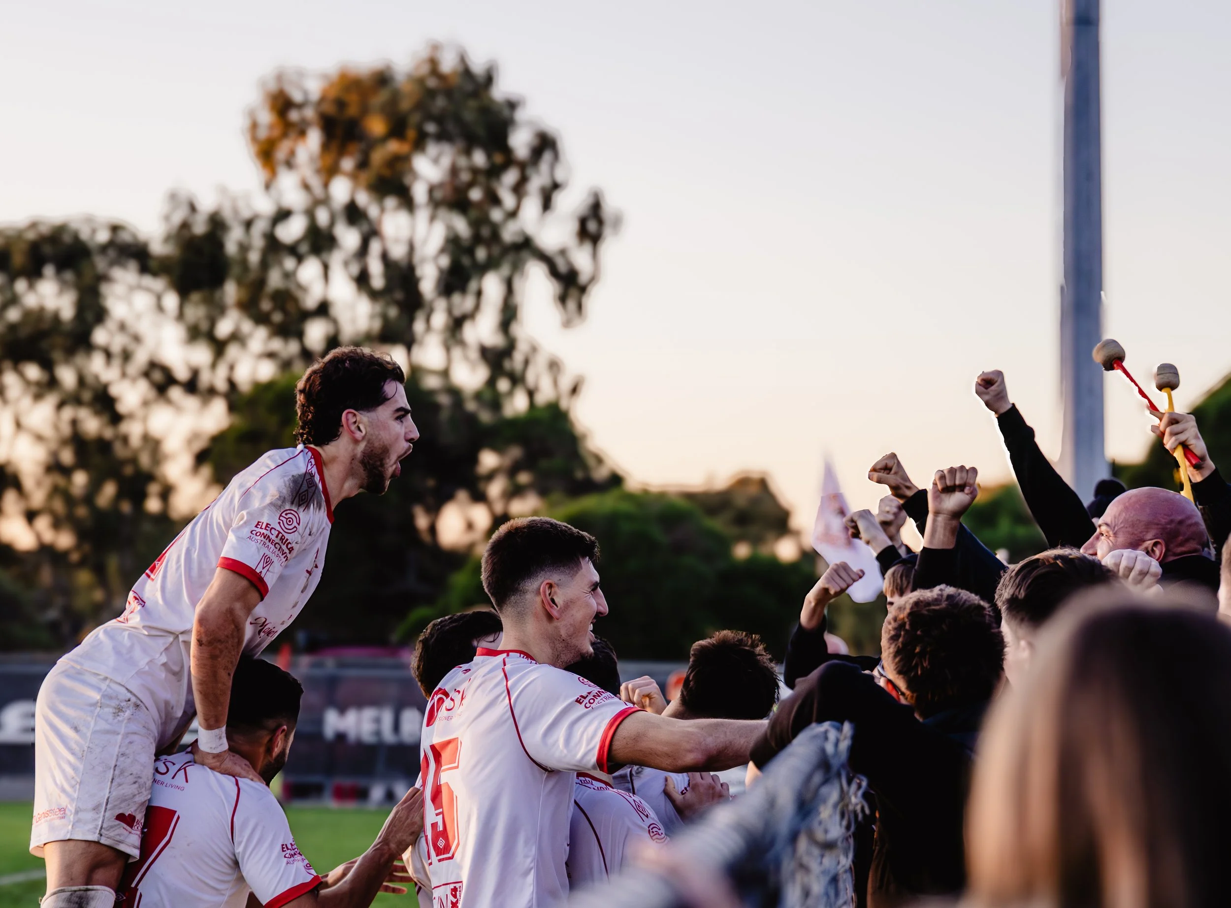 A group of soccer players celebrating on the field, with one player being lifted up by teammates and others raising their fists.