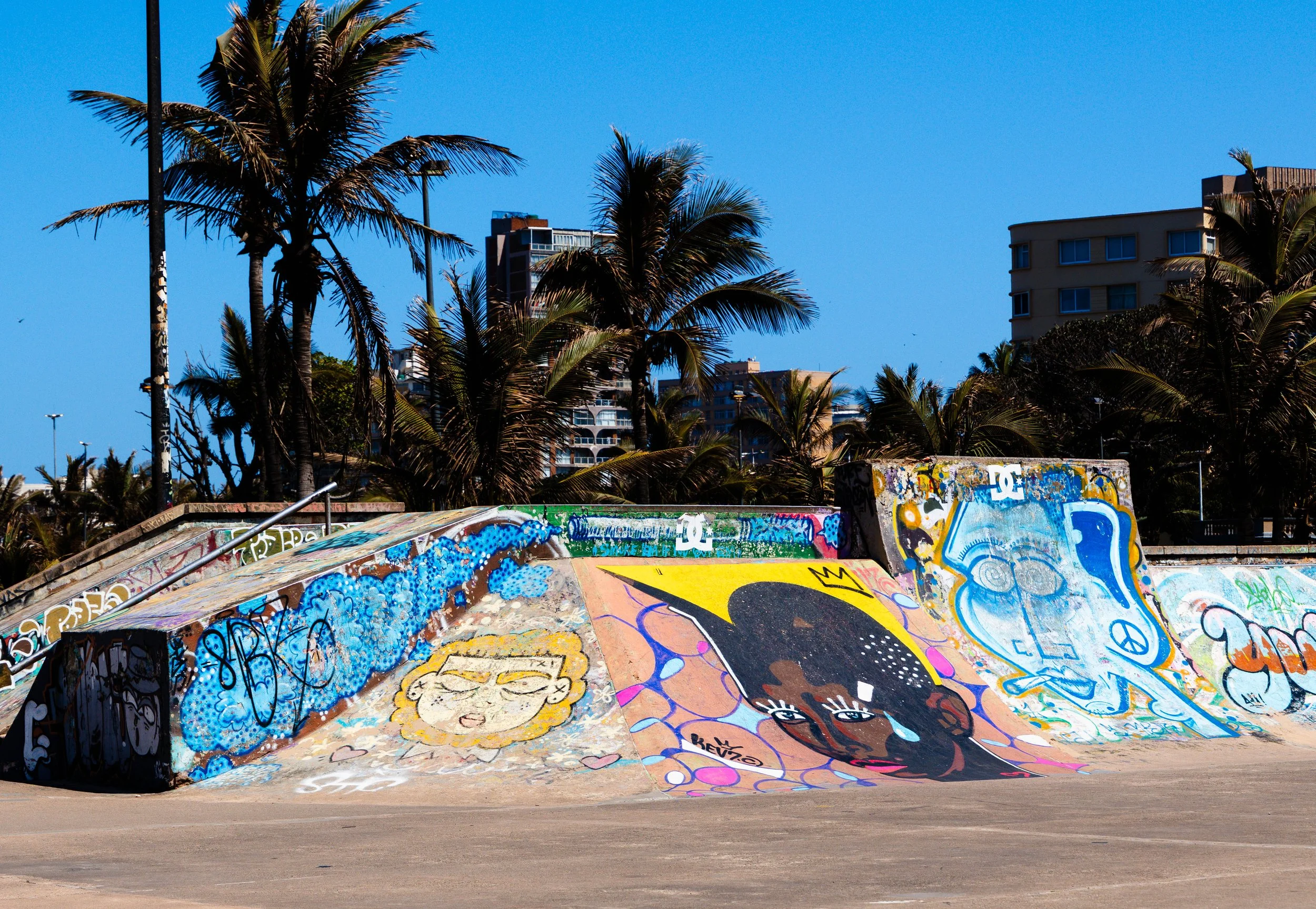 Graffiti-covered skate ramp with palm trees and buildings in the background.