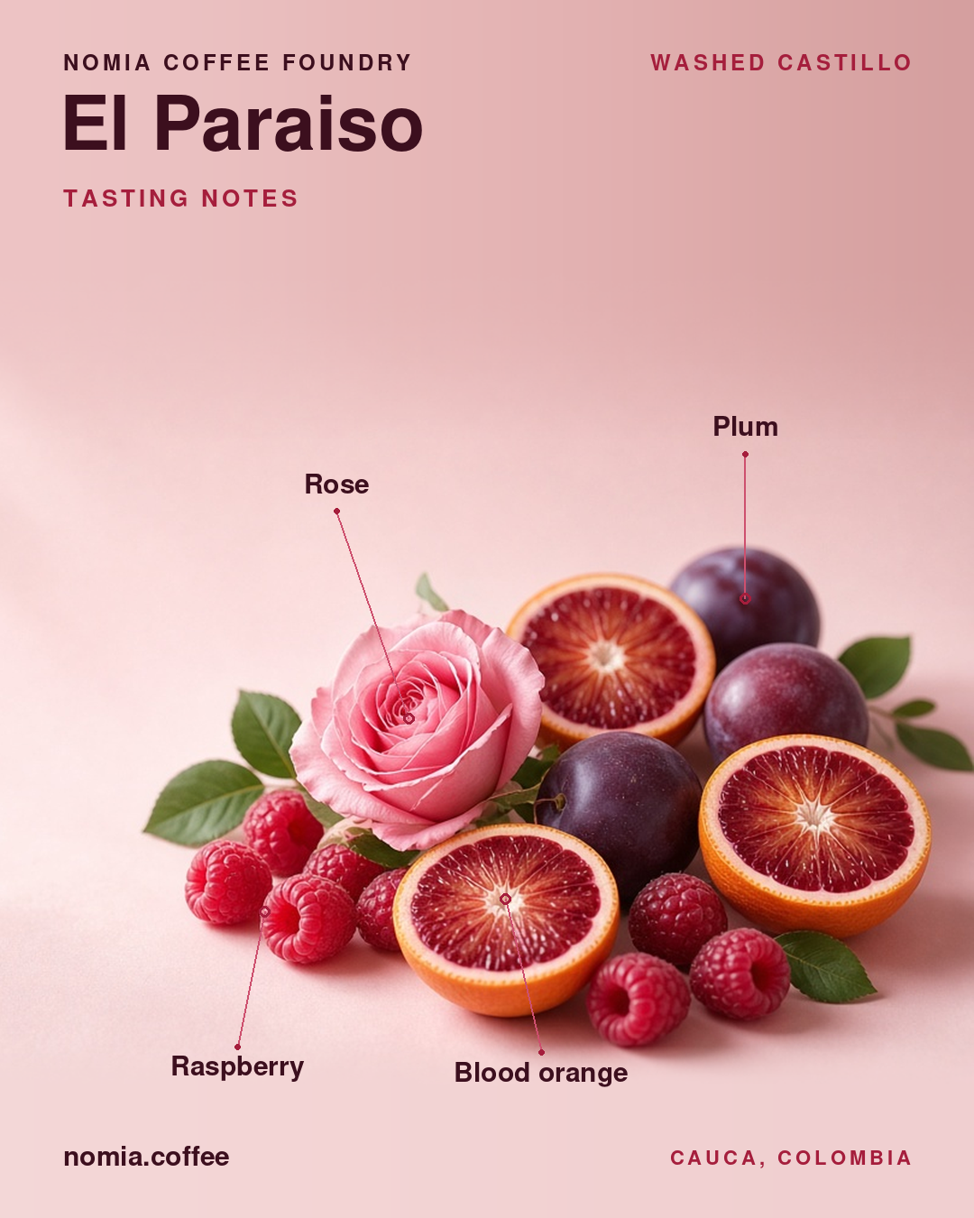 elparaiso-notes-feed.png