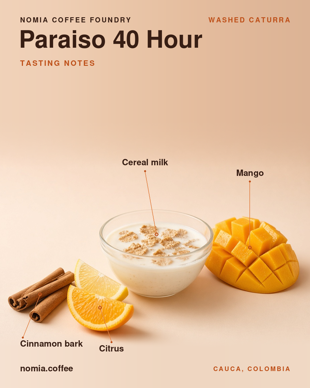 paraiso40-notes-feed.png