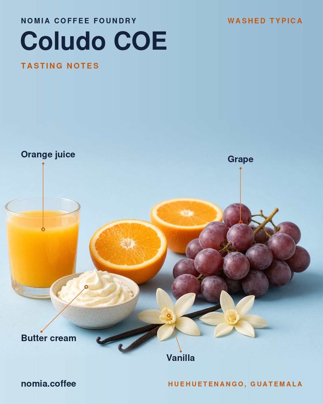coludo-notes-feed.png