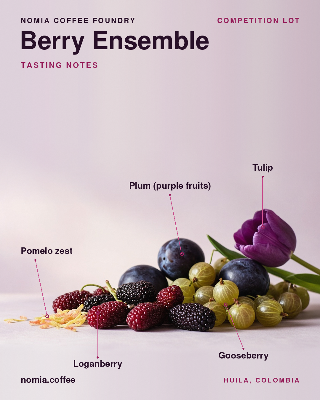 berry-notes-light-feed.png