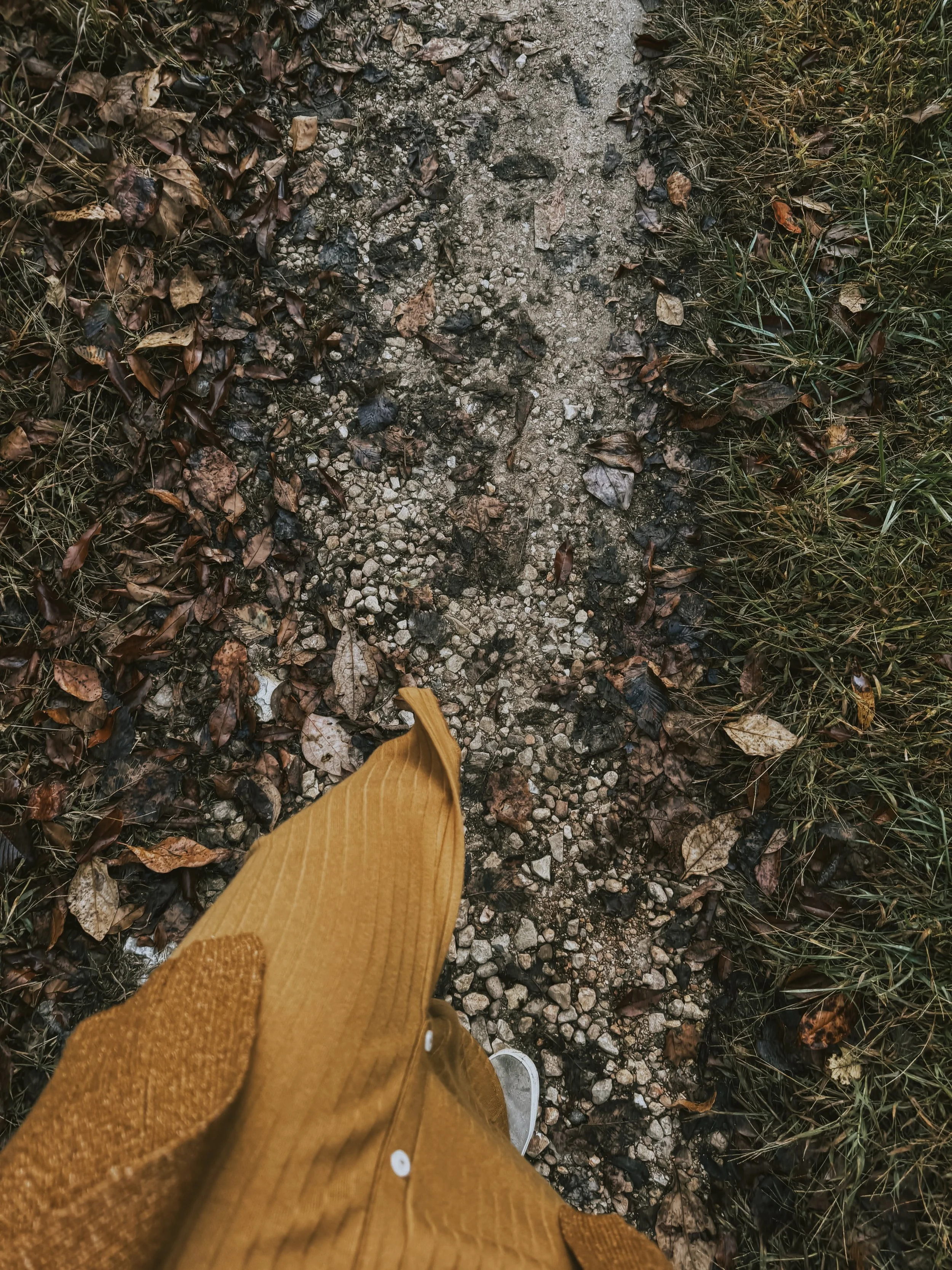 Taking a walk to go over the next section of edits and what threads need to be sewn into the story. 

I do all my best thinking when I am on a walk with the books playlist on repeat. 

Do you take walks to get over any blocks in your writing?