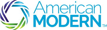 A logo featuring a stylized globe with a blue background.