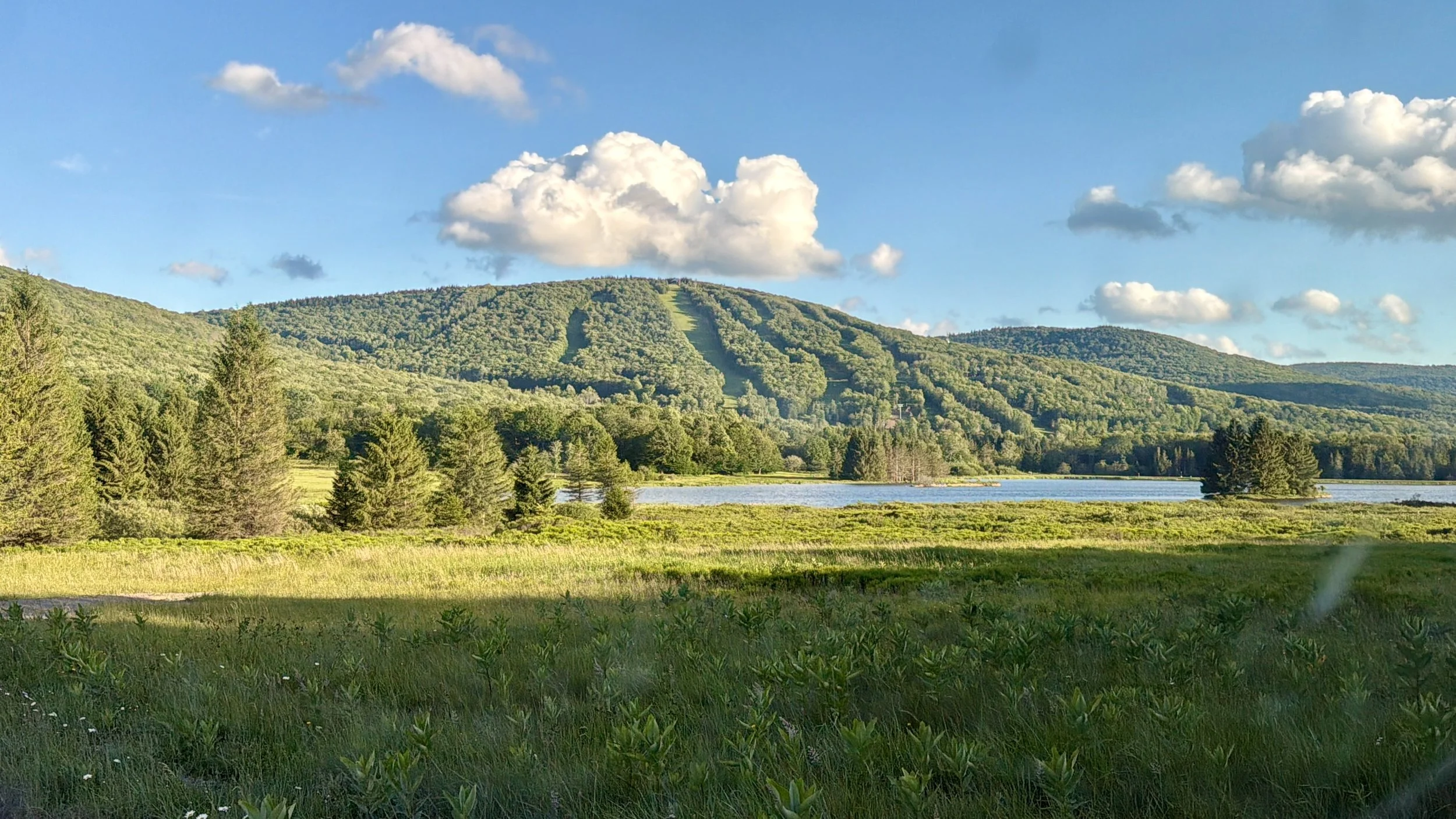 Timberline Mountain view from the wildlife conservancy. This ski resort has undergone major upgrades and renovations in last few years to become a premier destination for skiers.